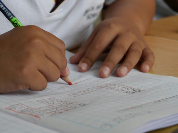 Stewards Primary Tuition